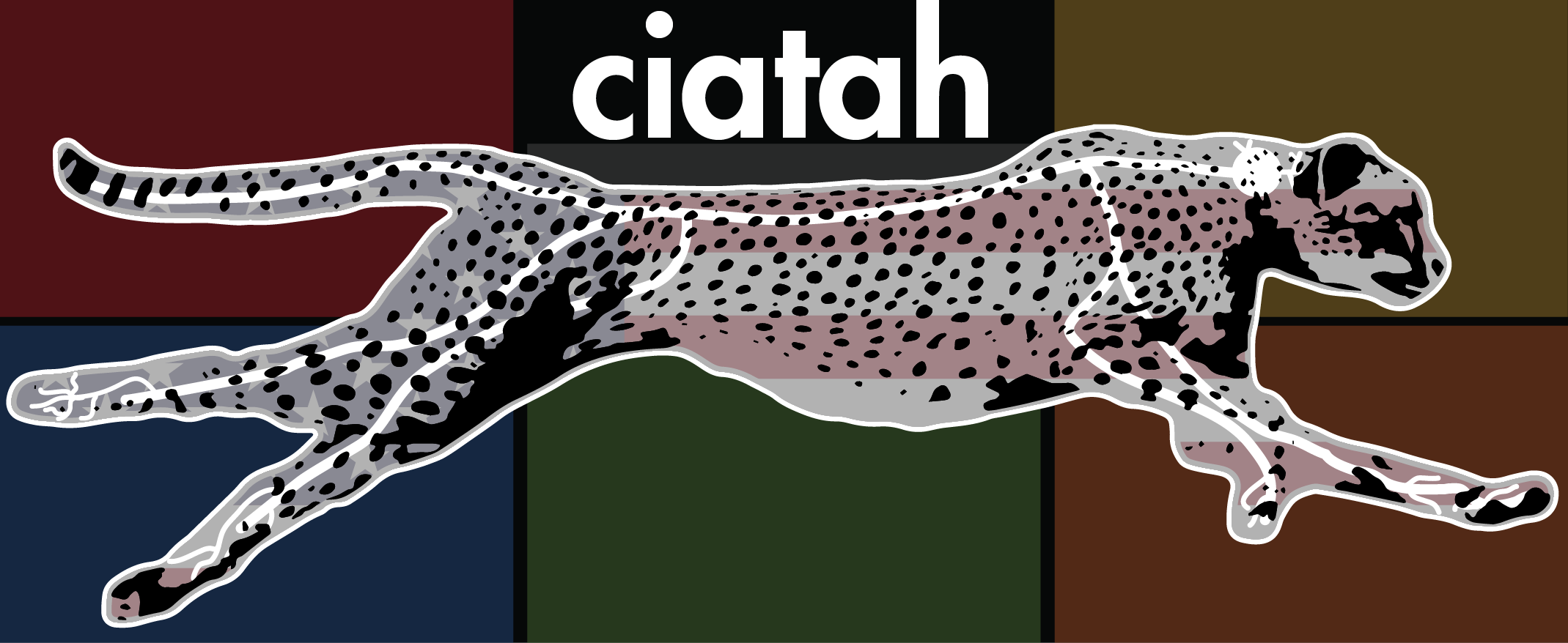 ../_images/ciatah_logo.png